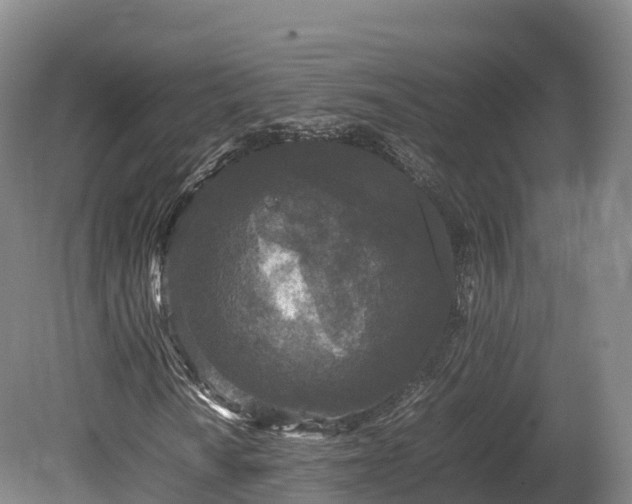 X0000080681010200612221137