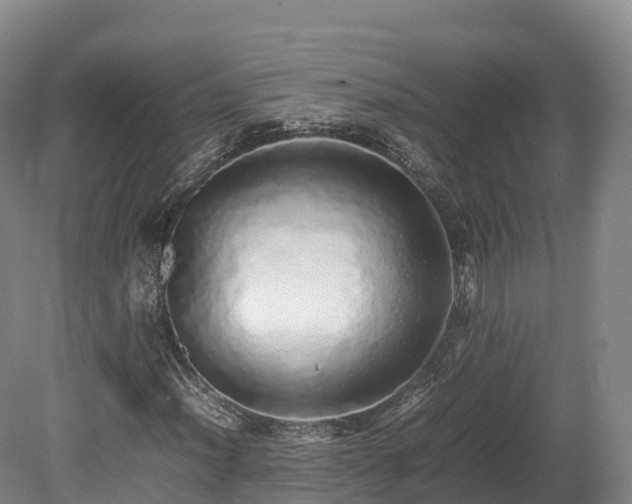 X0000080681012200612221137