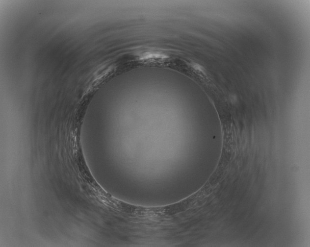 X0000080681013200612221137