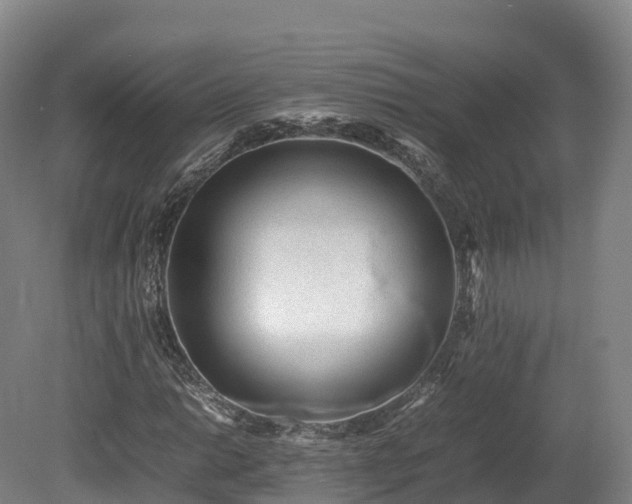 X0000080681014200612221137