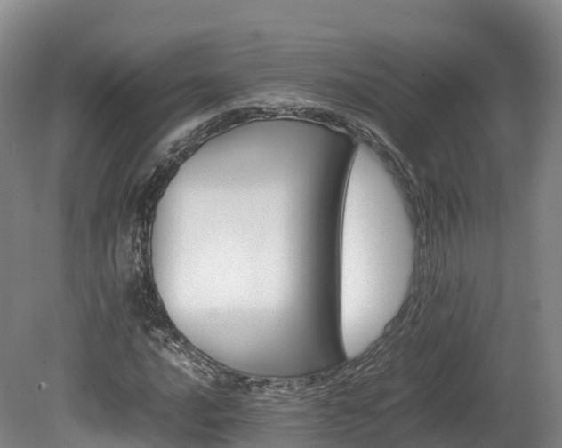 X0000080681016200612221137