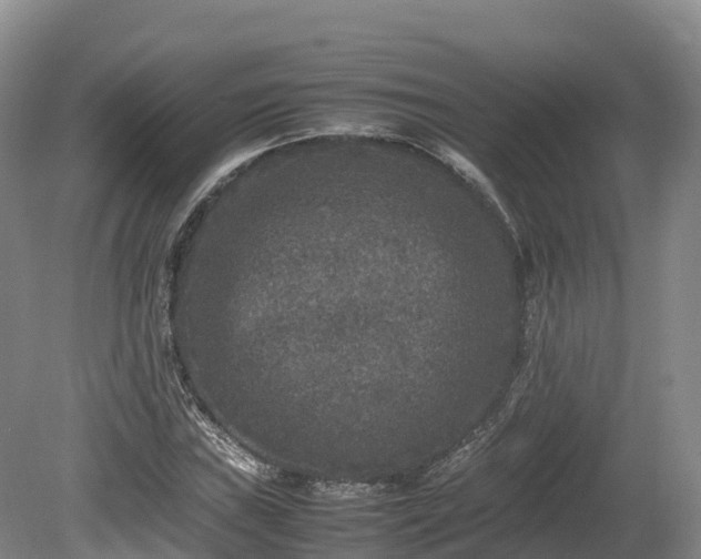 X0000080681019200612221137