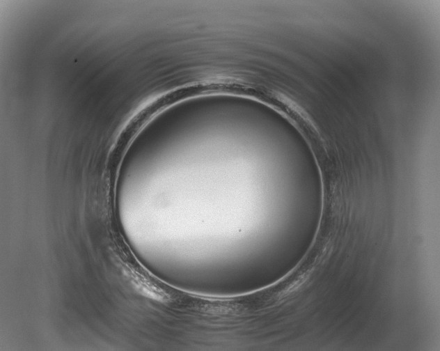 X0000080681021200612221137