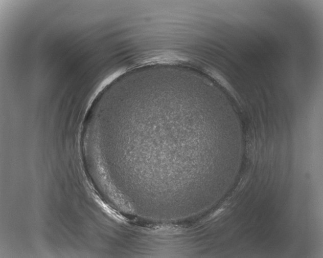 X0000080681026200612221137