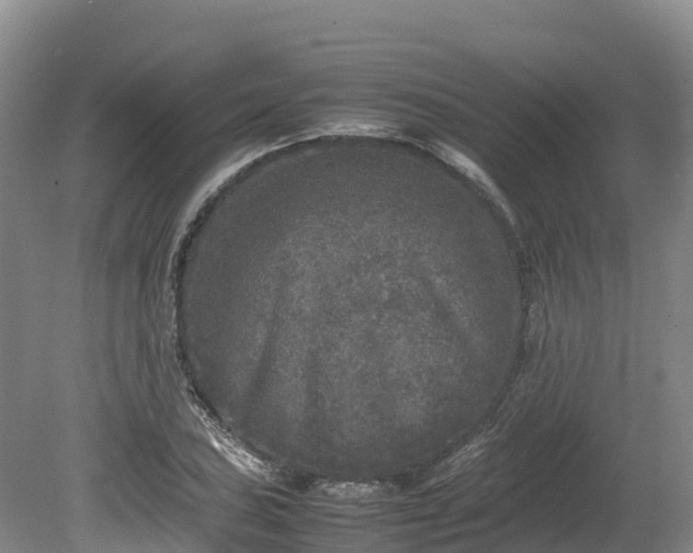 X0000080681027200612221137