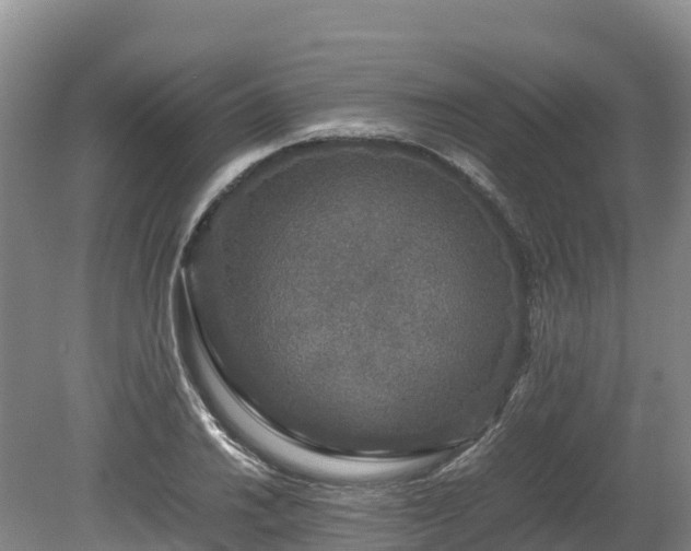 X0000080681030200612221137