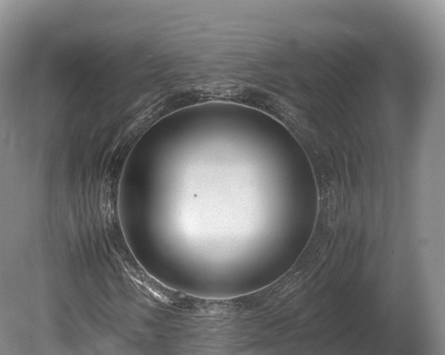 X0000080681058200612221137