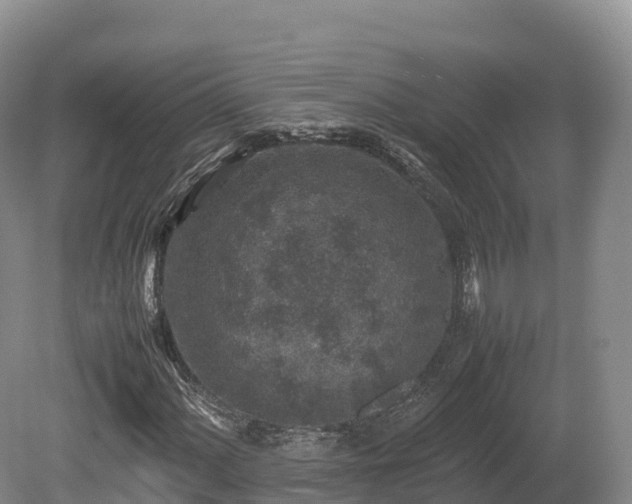 X0000080681060200612221137