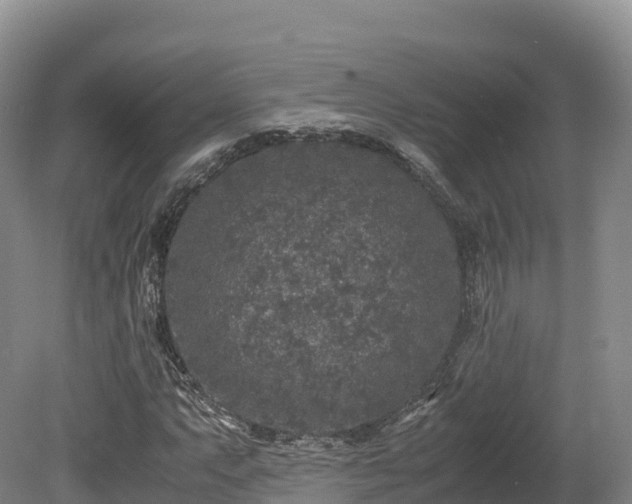X0000080681063200612221137