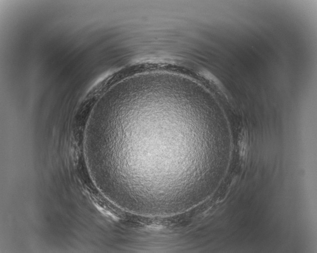 X0000080681064200612221137