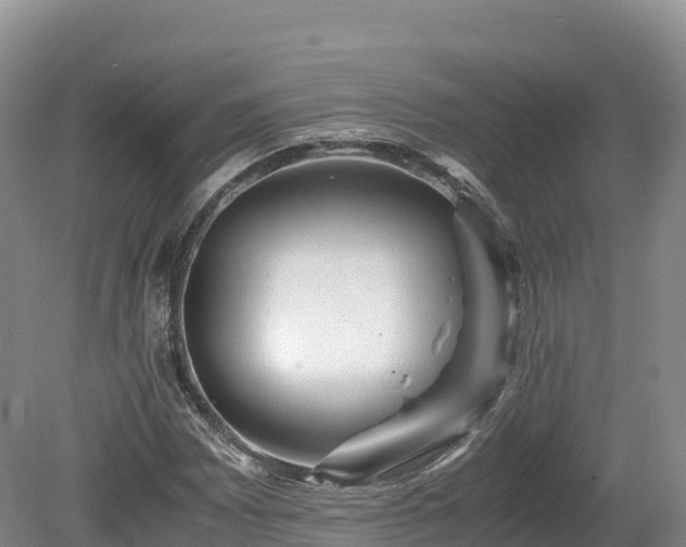 X0000080681065200612221137