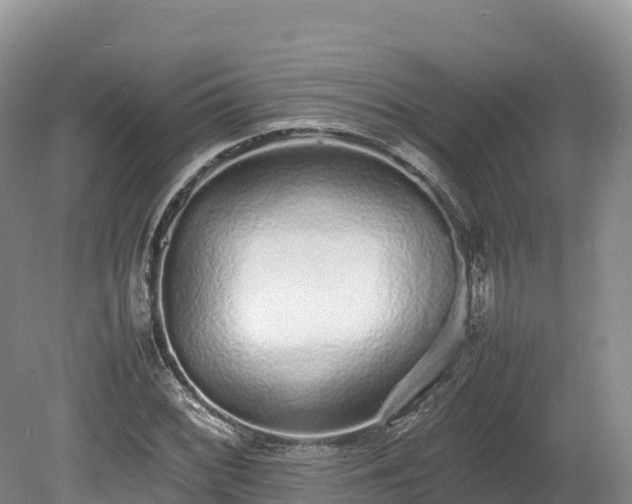 X0000080681068200612221137