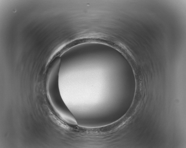 X0000080681069200612221137