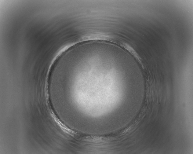 X0000080681072200612221137