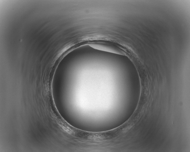 X0000080681073200612221137