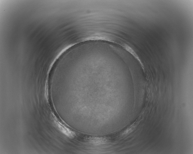 X0000080681076200612221136