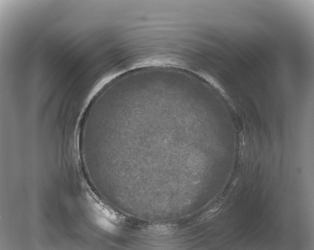 X0000080681078200612221136