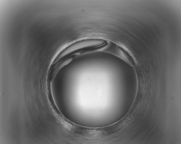 X0000080681085200612221136