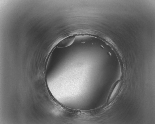 X0000080681089200612221136