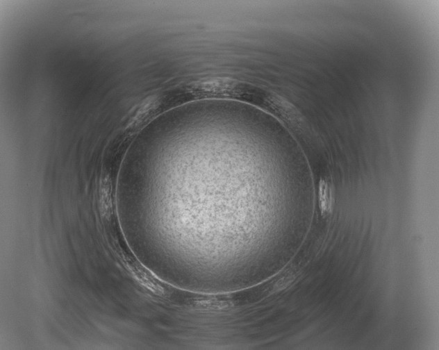 X0000080681107200612221135