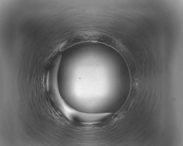 X0000080681108200612221135
