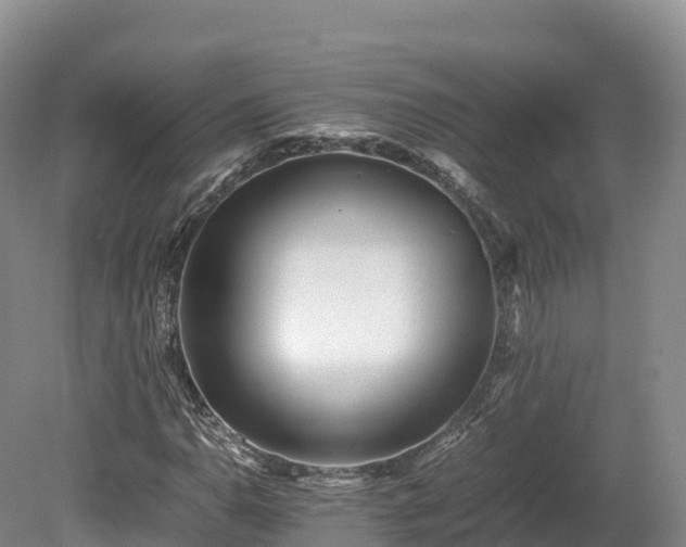 X0000080681110200612221135