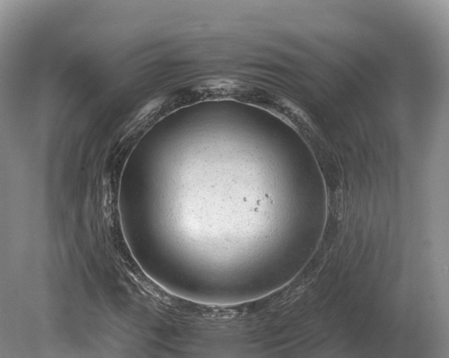 X0000080681111200612221135