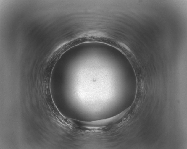 X0000080681112200612221135