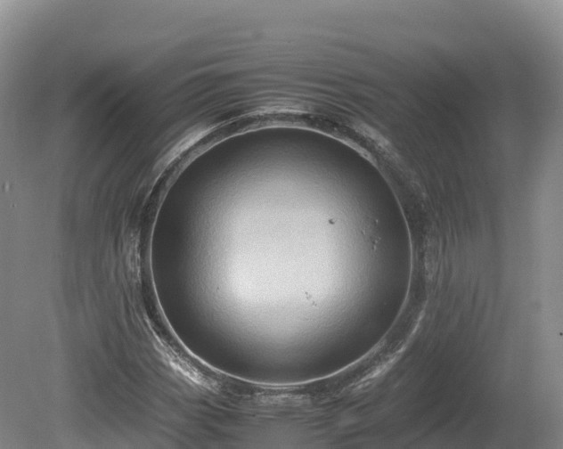 X0000080681113200612221135