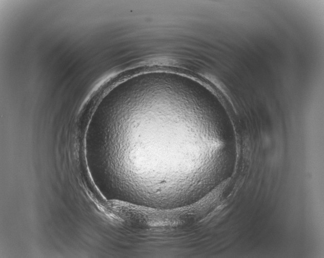 X0000080681115200612221135