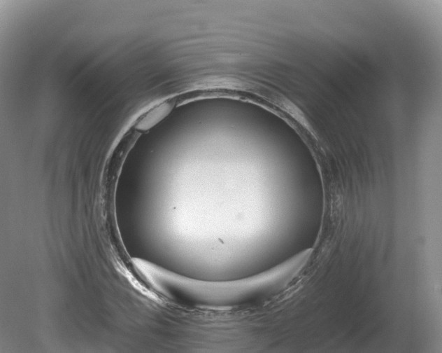 X0000080681116200612221135