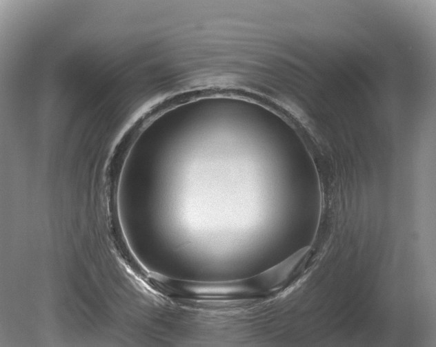 X0000080681118200612221135
