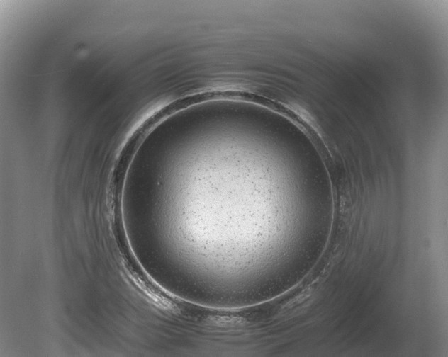 X0000080681119200612221135