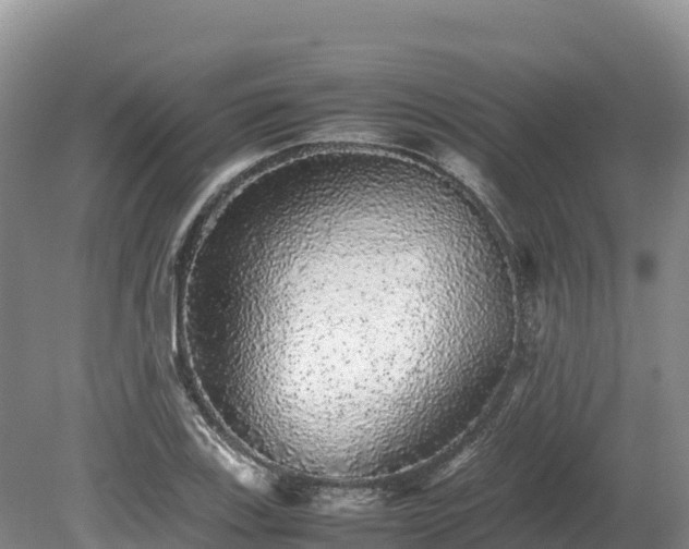 X0000080681123200612221135