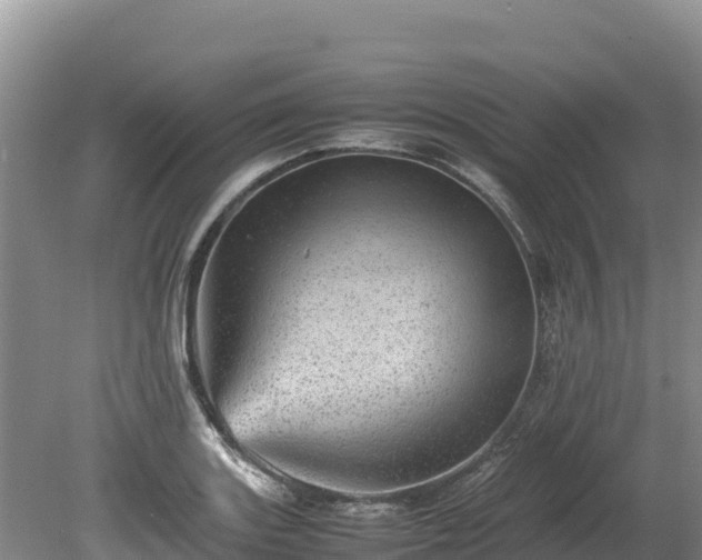 X0000080681131200612221136
