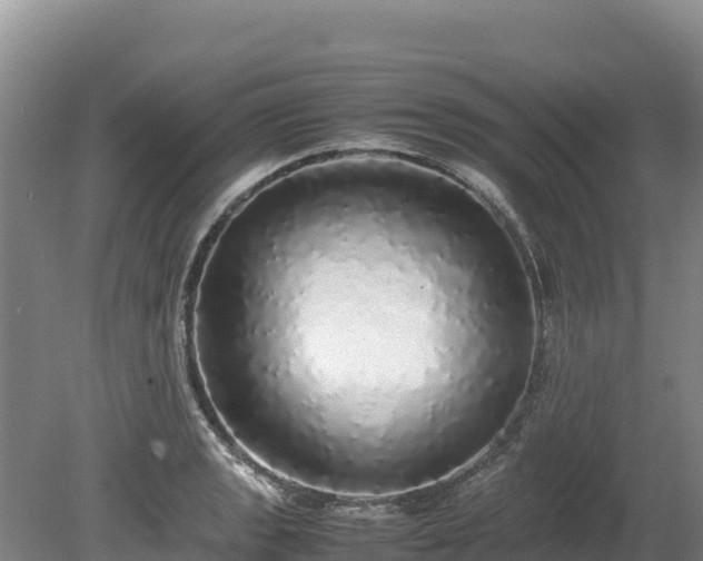 X0000080681133200612221136