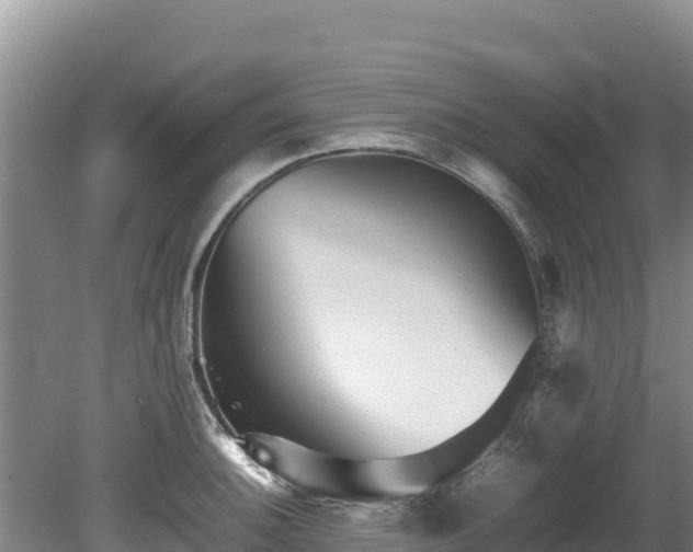 X0000080681140200612221136