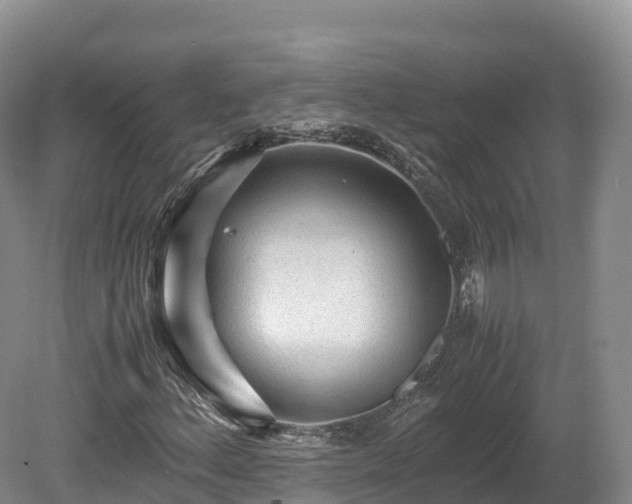 X0000080681156200612221135