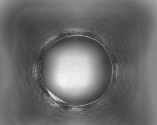 X0000080681157200612221135