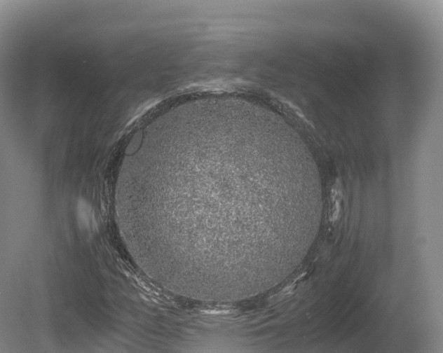 X0000080681158200612221135