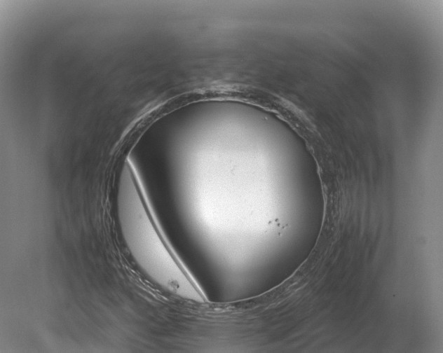 X0000080681160200612221135