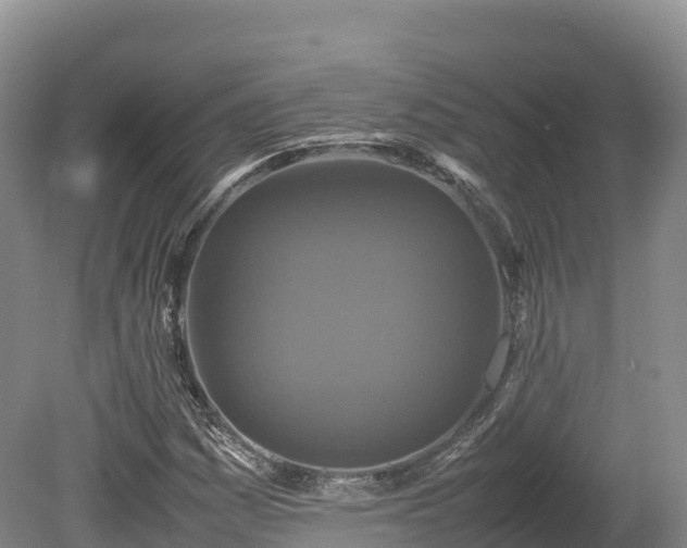 X0000080681161200612221135