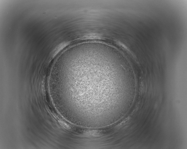 X0000080681162200612221135