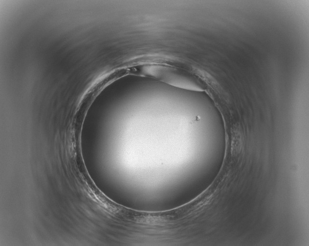 X0000080681164200612221135