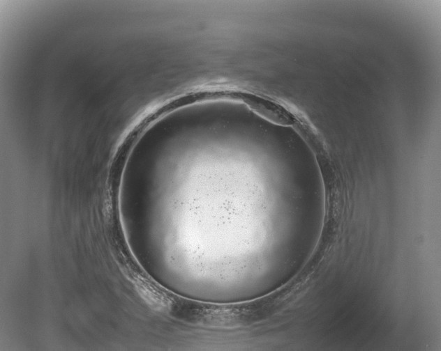 X0000080681167200612221135