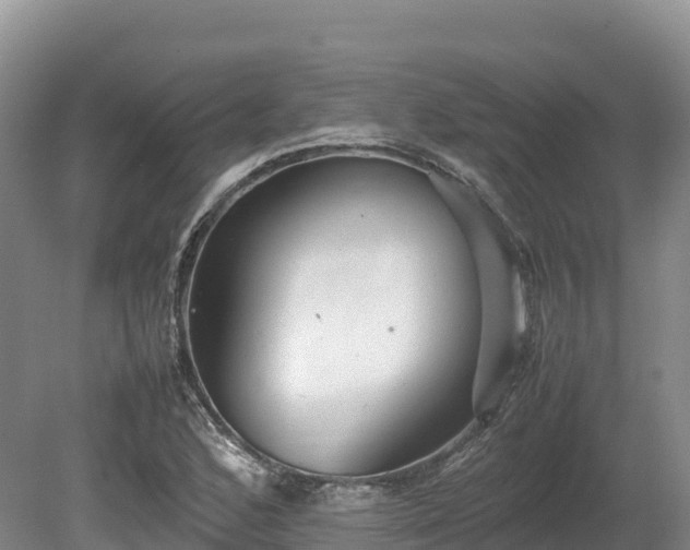 X0000080681168200612221135