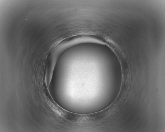 X0000080681169200612221135