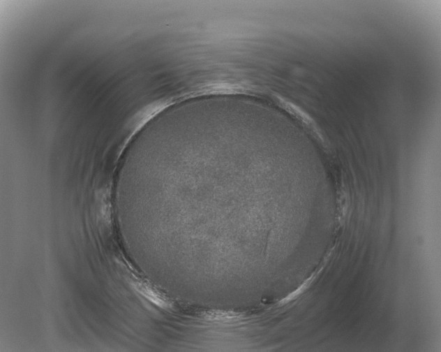 X0000080681170200612221135