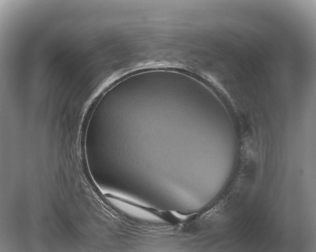 X0000080681173200612221135