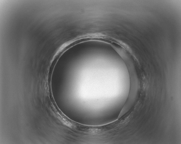 X0000080681176200612221135